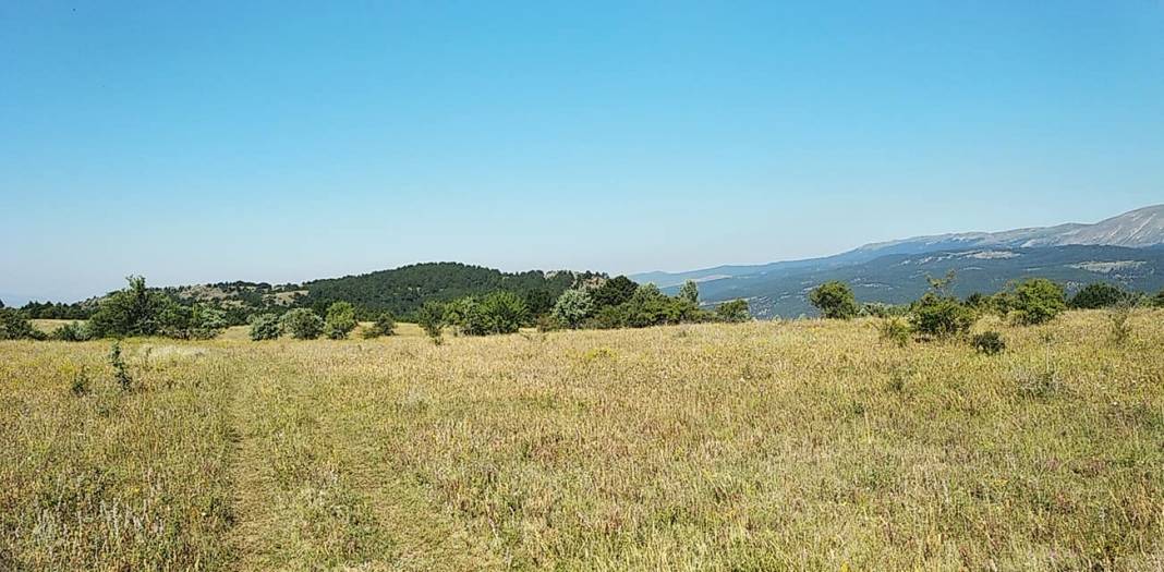 Ilgaz Sazak Köyü Resimleri 6