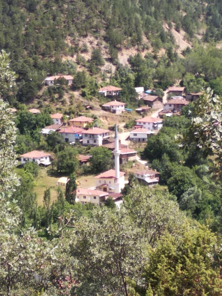 Ilgaz Sazak Köyü Resimleri 7