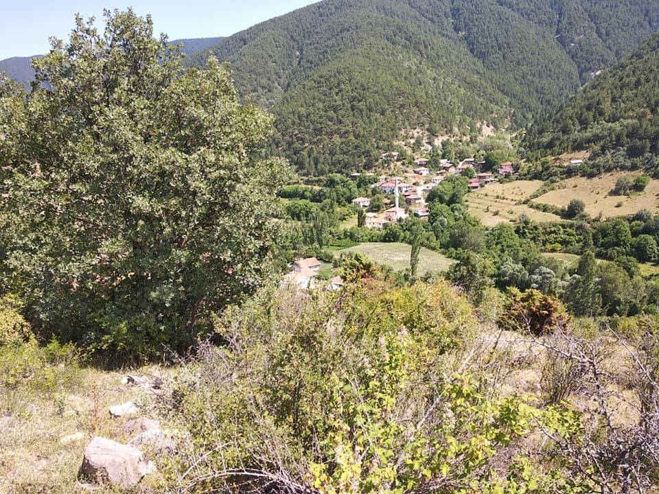 Ilgaz Sazak Köyü Resimleri 8