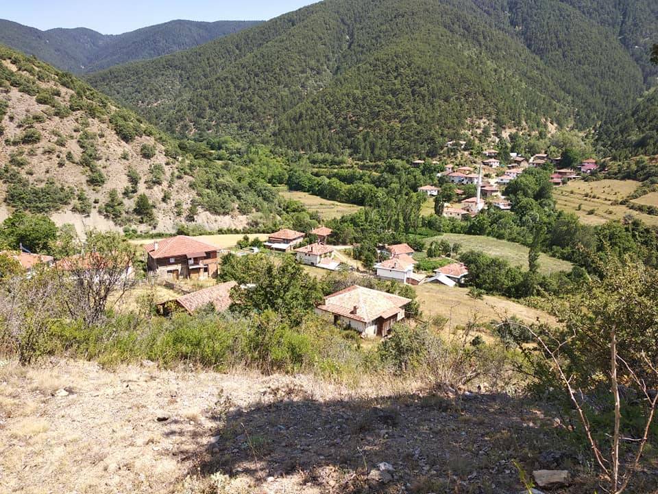 Ilgaz Sazak Köyü Resimleri 9