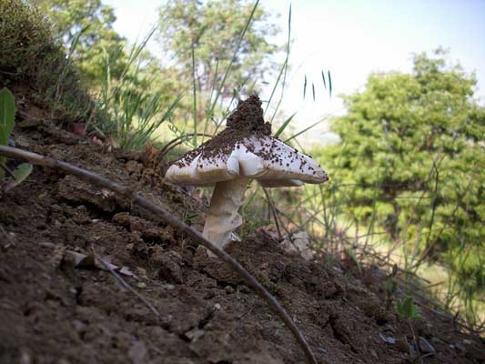 Çorum Sungurlu Karakaya Köyü Resimleri 1