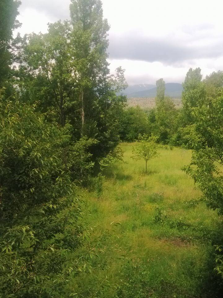 Ilgaz Yazıköy Köyü Resimleri 2