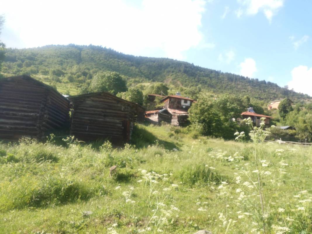 Ilgaz Yenidemirciler Köyü Resimleri 2