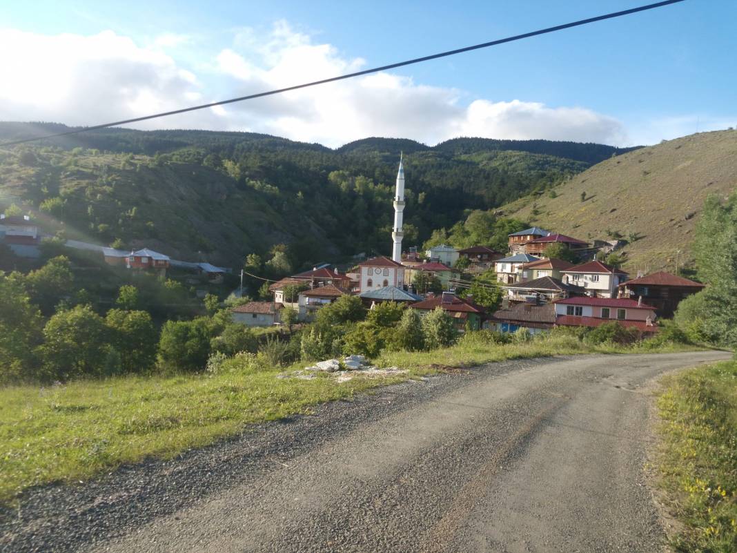 Ilgaz Yenidemirciler Köyü Resimleri 3