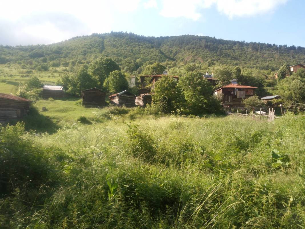 Ilgaz Yenidemirciler Köyü Resimleri 5