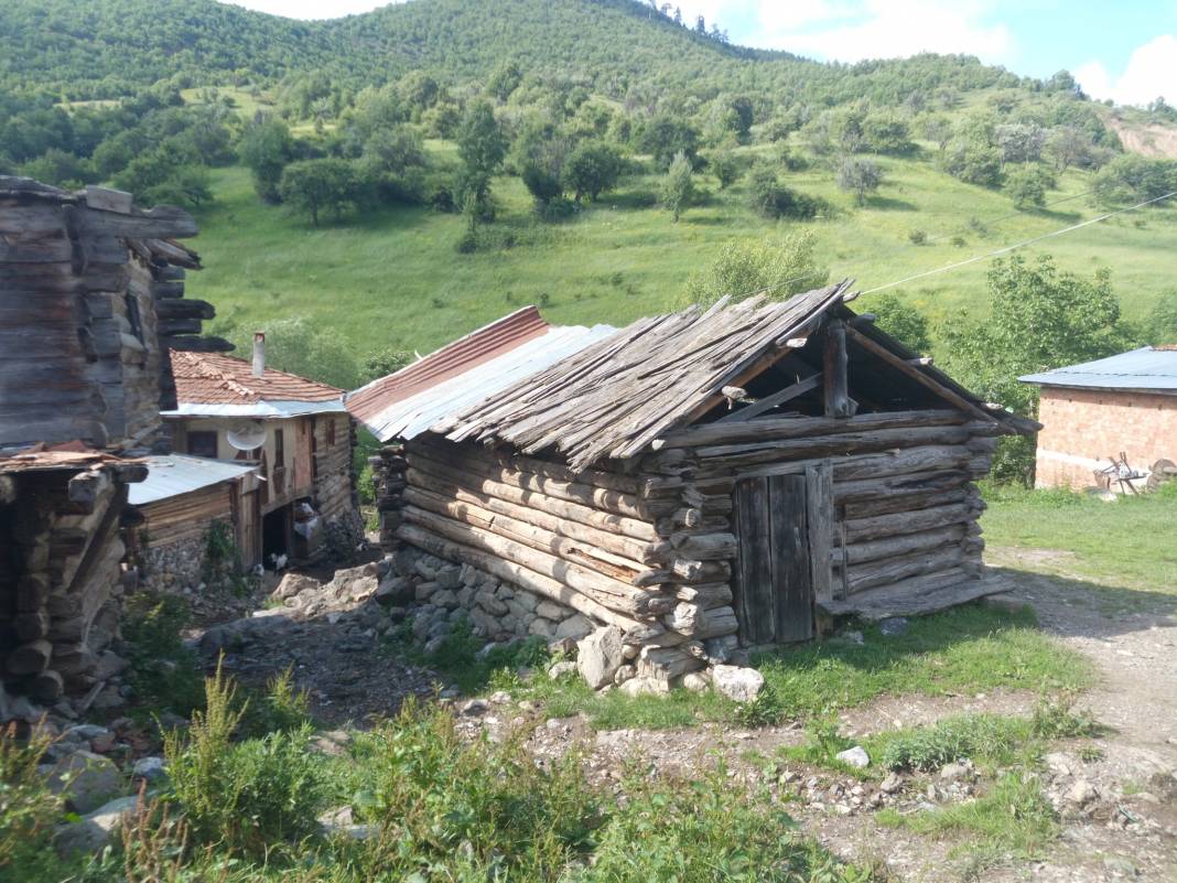 Ilgaz Yenidemirciler Köyü Resimleri 6