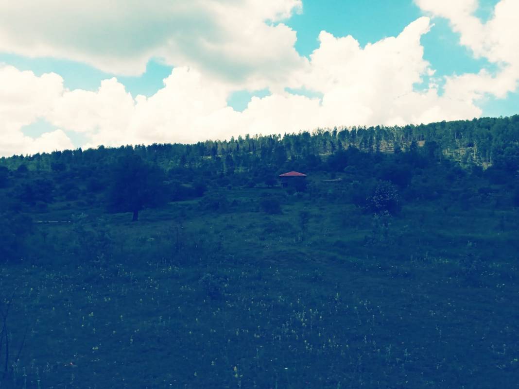 Ilgaz Yuvademirciler Köyü Resimleri 5