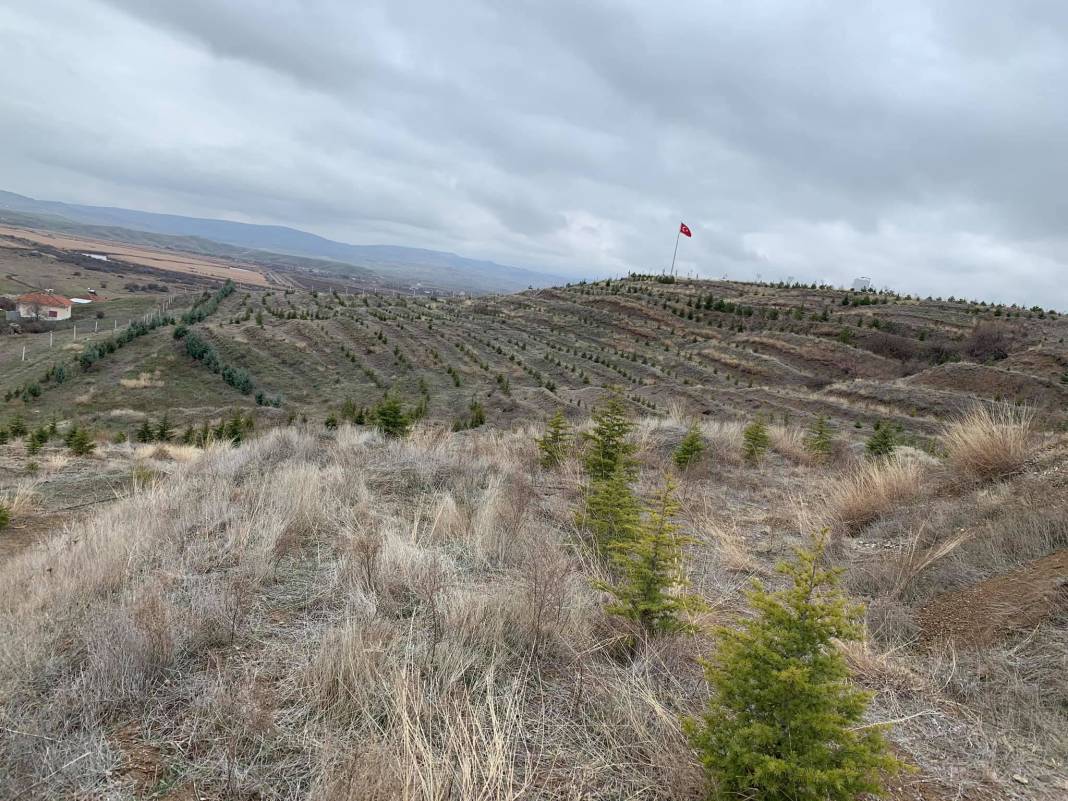 Kızılırmak Aşağıalagöz Köyü Resimleri 1