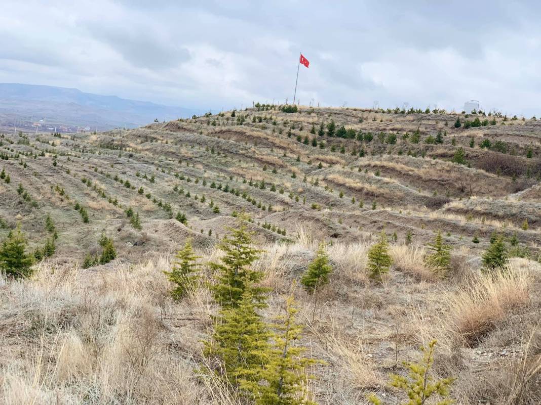Kızılırmak Aşağıalagöz Köyü Resimleri 6