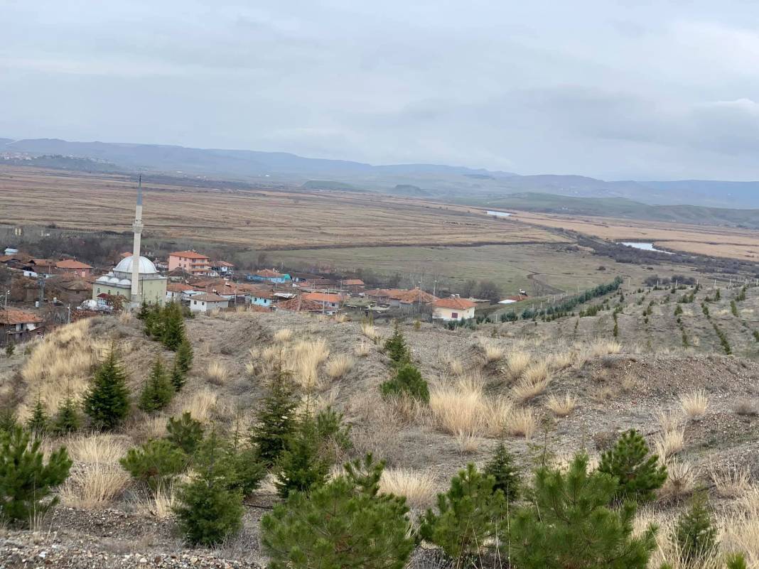 Kızılırmak Aşağıalagöz Köyü Resimleri 7