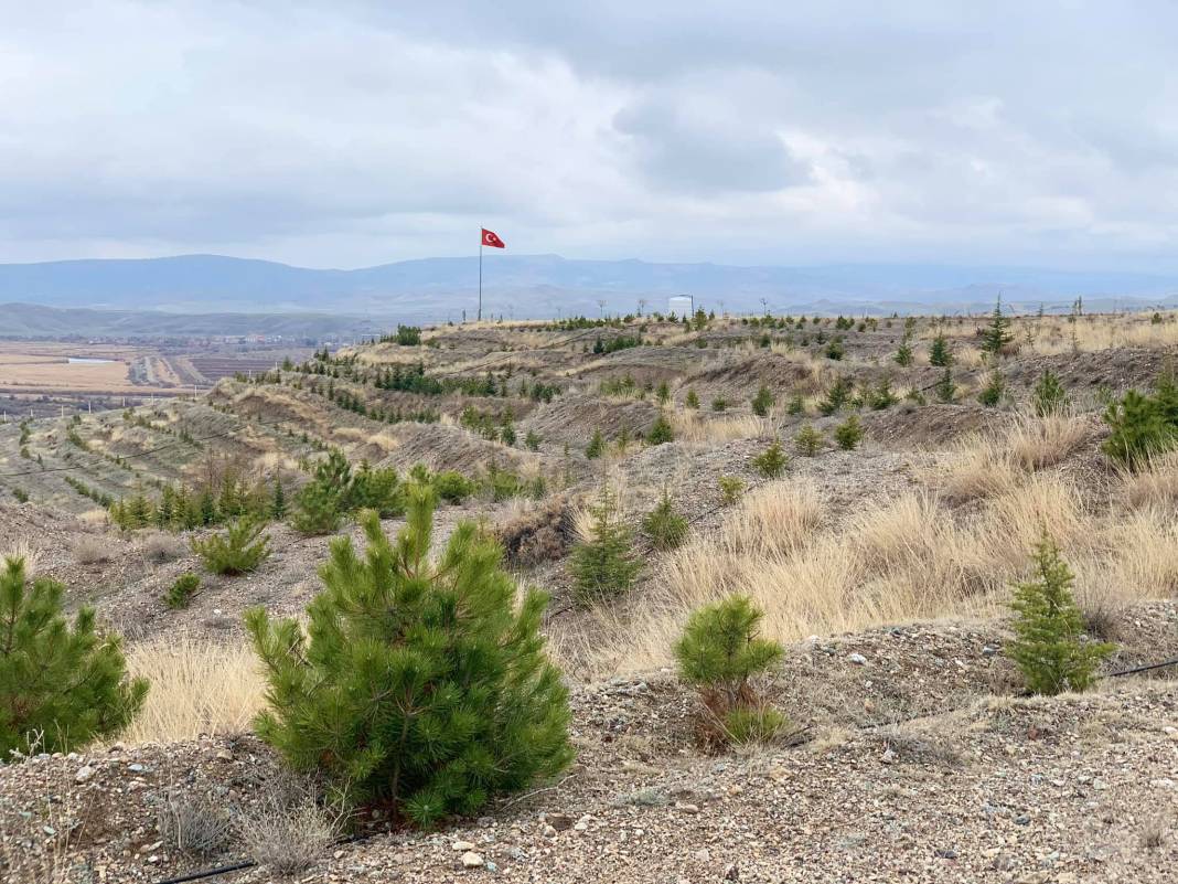 Kızılırmak Aşağıalagöz Köyü Resimleri 9