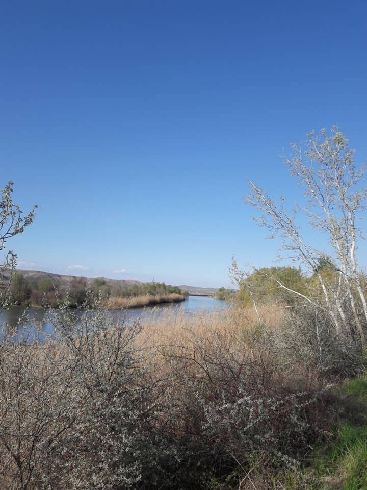 Kızılırmak Bostanlı Köyü Resimleri 6