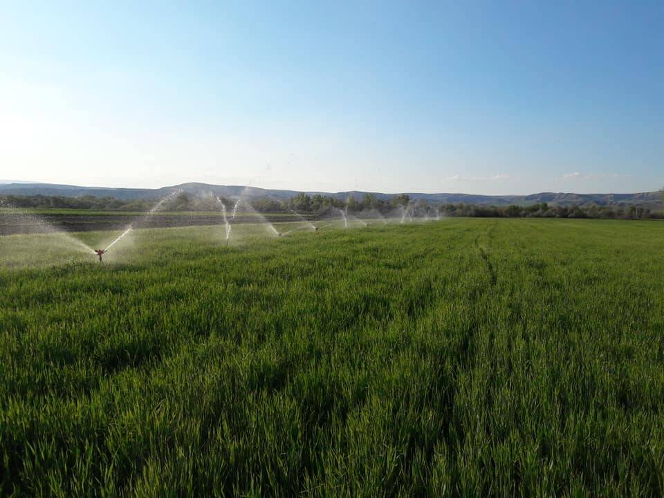 Kızılırmak Bostanlı Köyü Resimleri 8
