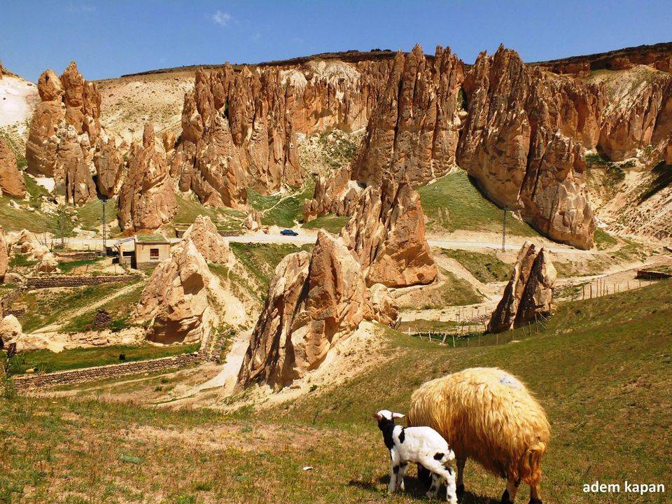 Başkale Yavuzlar Köyü Resimleri 1