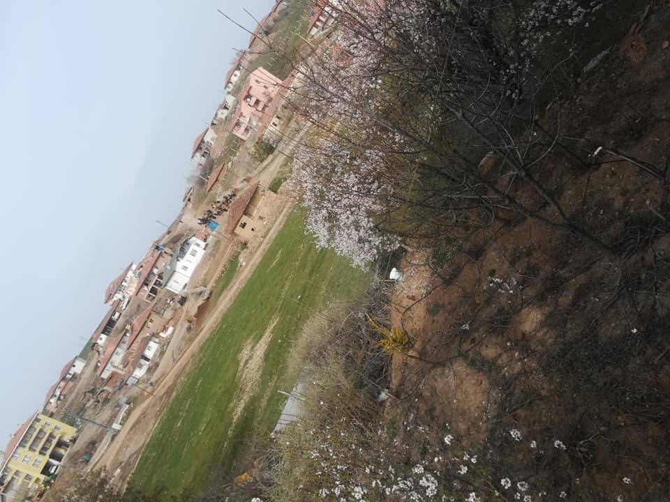 Kızılırmak Kahyalı Köyü Resimleri 4