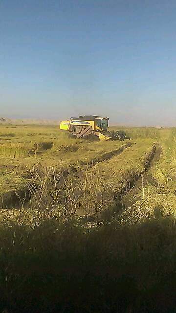 Kızılırmak Kapaklı Köyü Resimleri 1