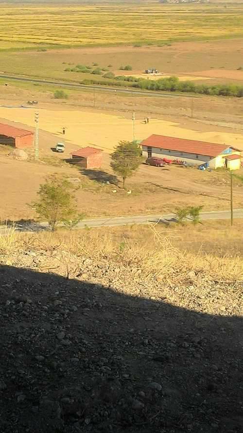 Kızılırmak Kapaklı Köyü Resimleri 3