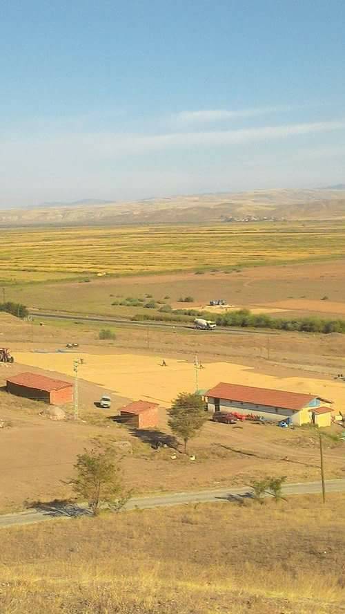 Kızılırmak Kapaklı Köyü Resimleri 4