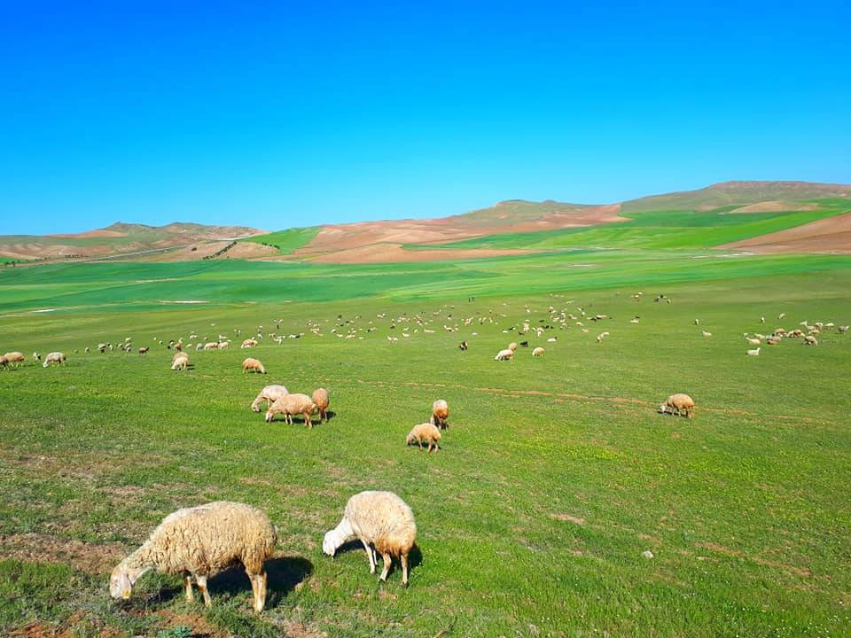 Kızılırmak Korçullu Köyü Resimleri 9