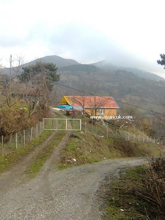 Yenice Gökbel Köyü Resimleri 2