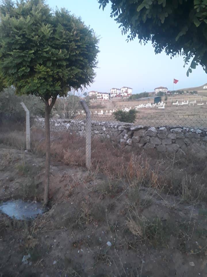 Kızılırmak Sakarca Köyü Resimleri 6