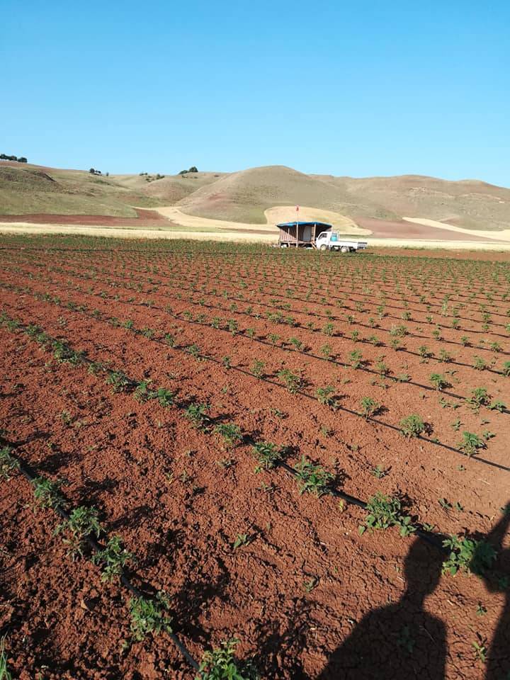 Kızılırmak Tımarlı Köyü Resimleri 2