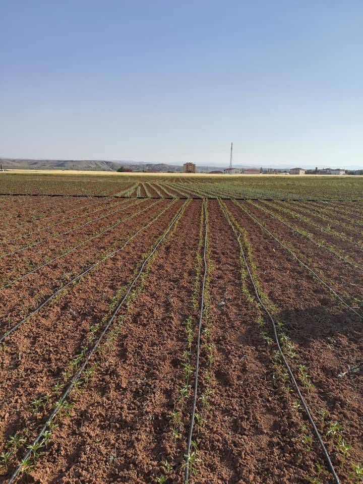Kızılırmak Tımarlı Köyü Resimleri 3