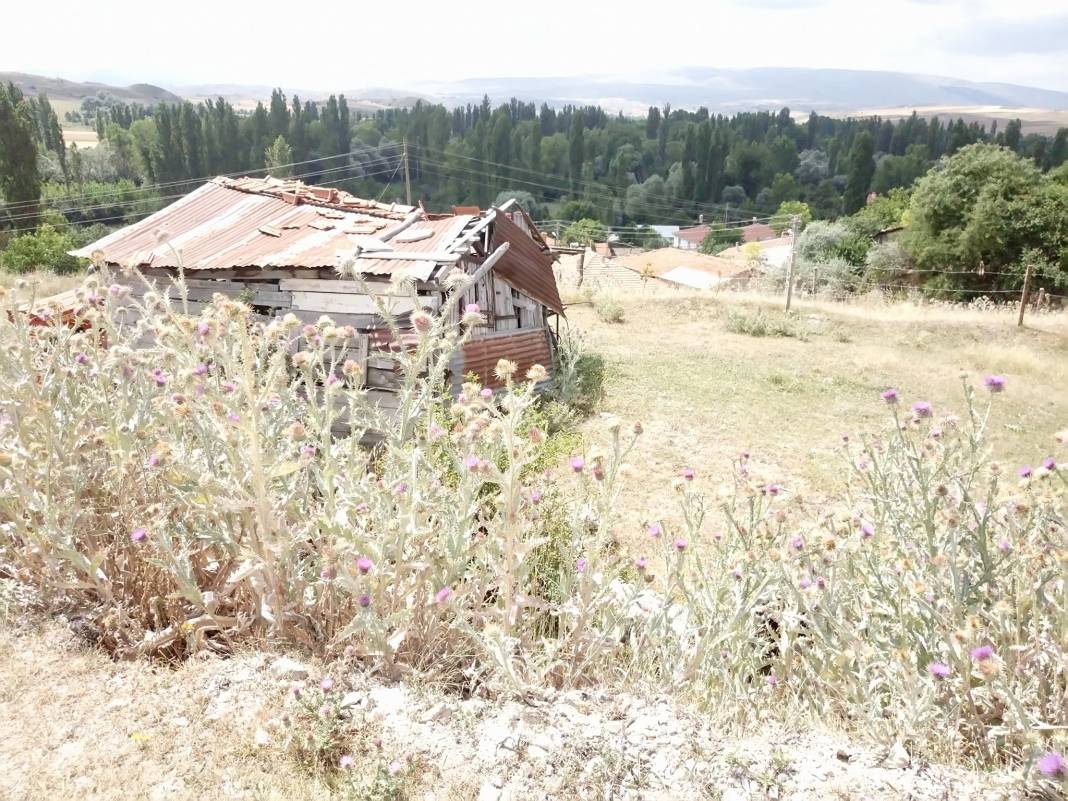 Kurşunlu Çatkese Köyü Resimleri 10