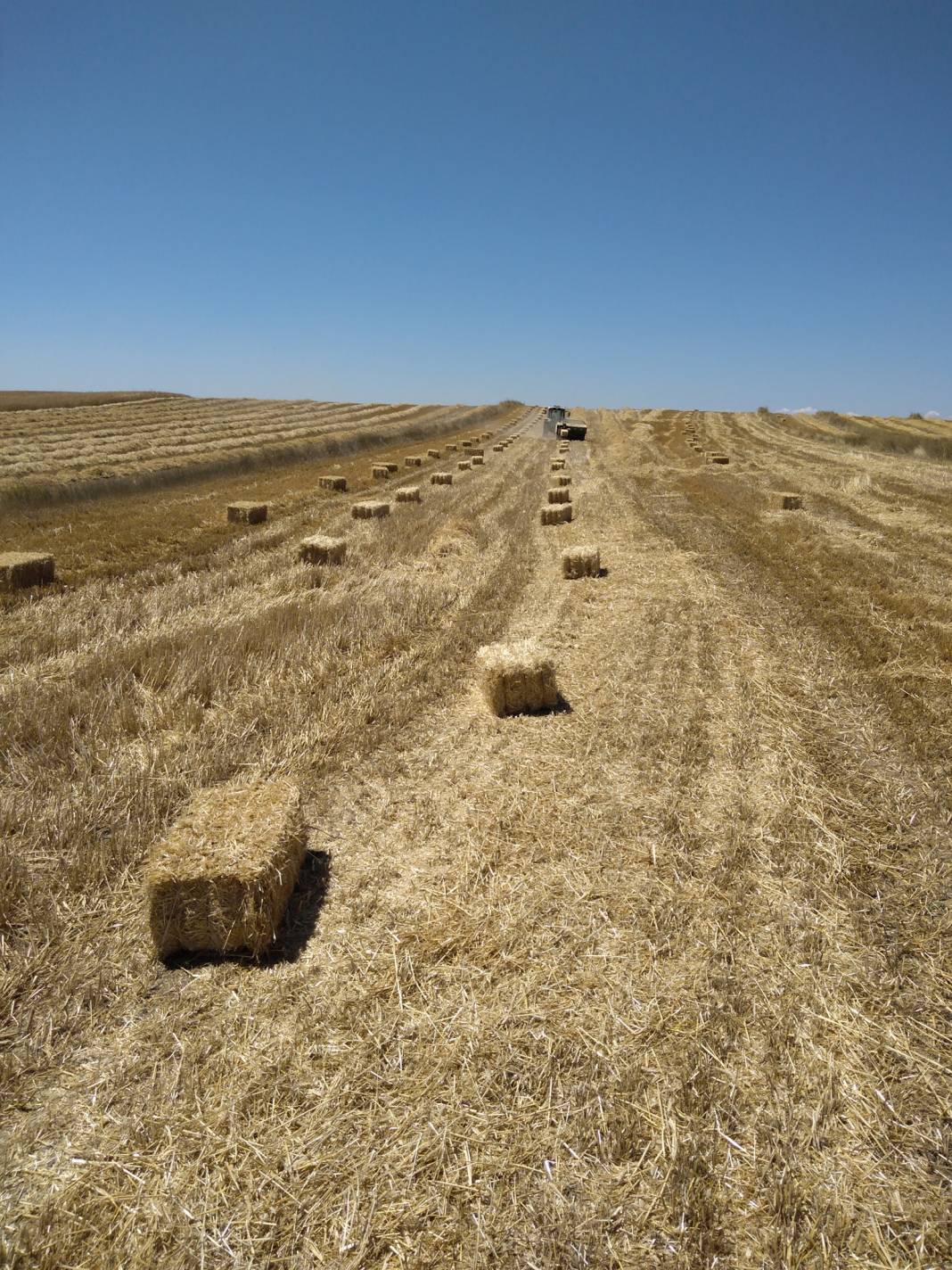 Kurşunlu Çatkese Köyü Resimleri 11