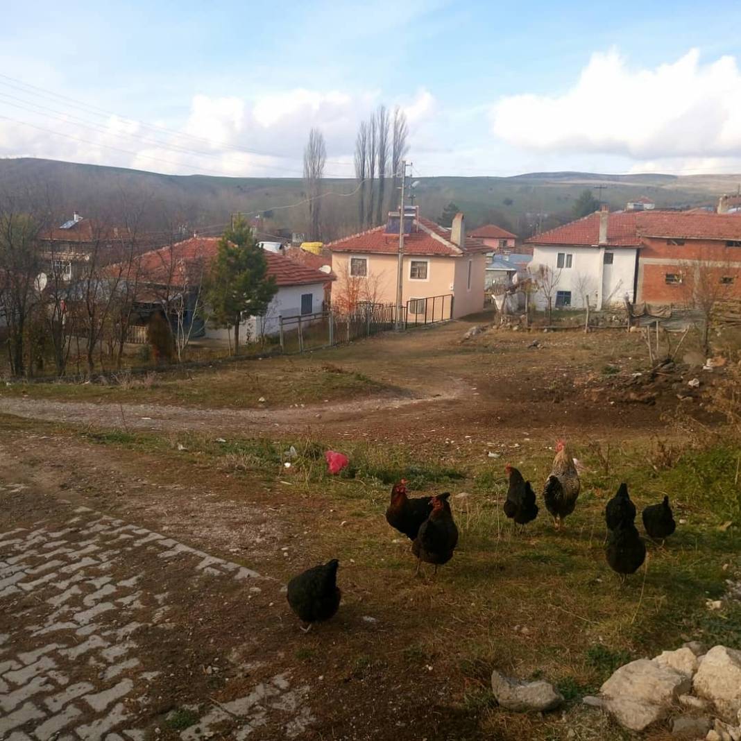 Kurşunlu Çatkese Köyü Resimleri 3