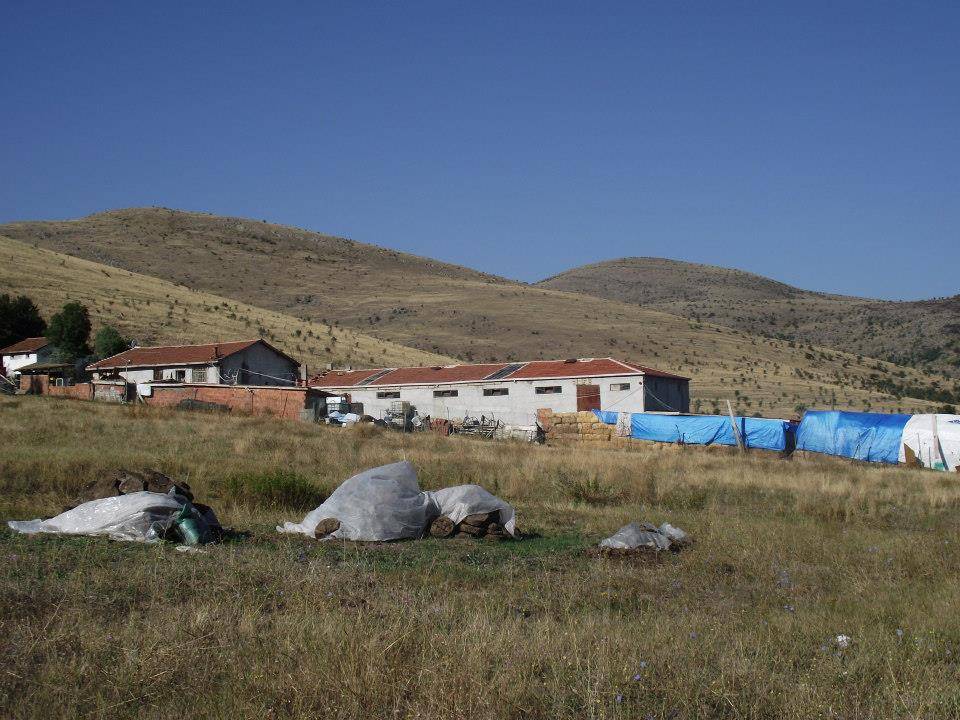 Kurşunlu Göllüce Köyü Resimleri 6