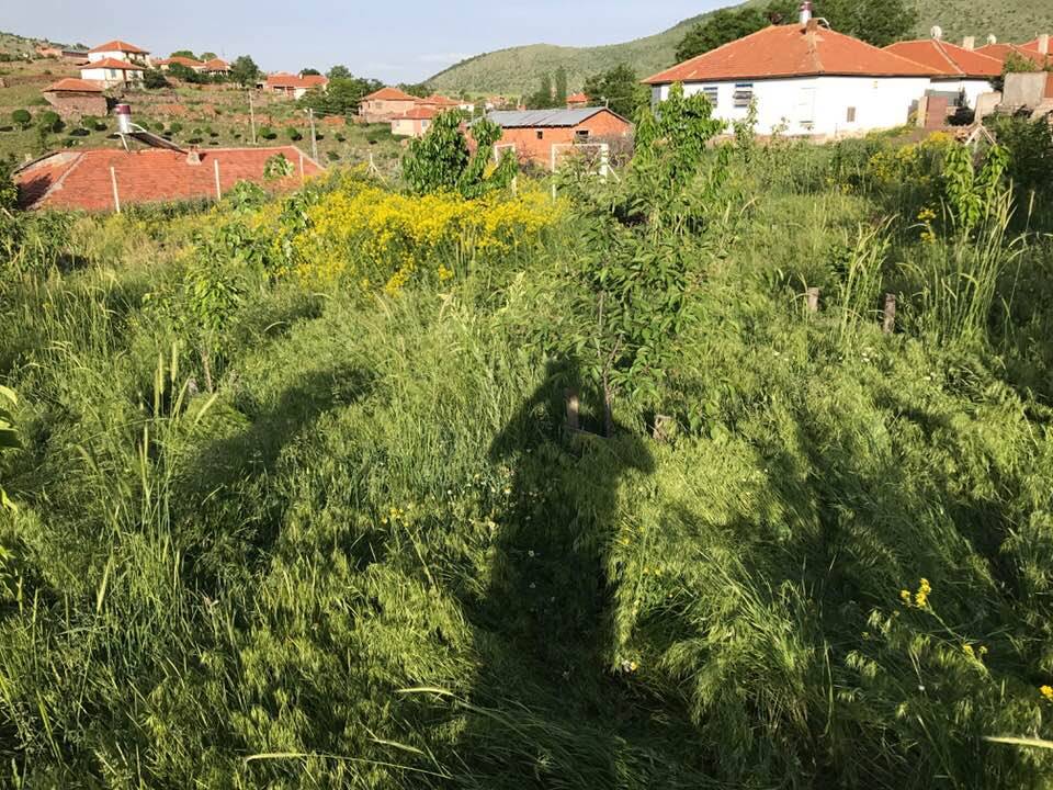 Kurşunlu Kapaklı Köyü Resimleri 2