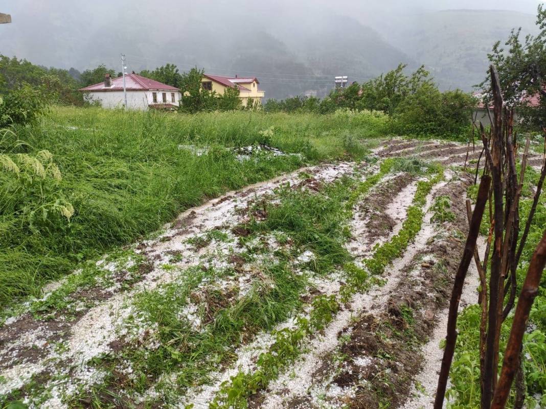 Kurşunlu Sarıalan Köyü Resimleri 11