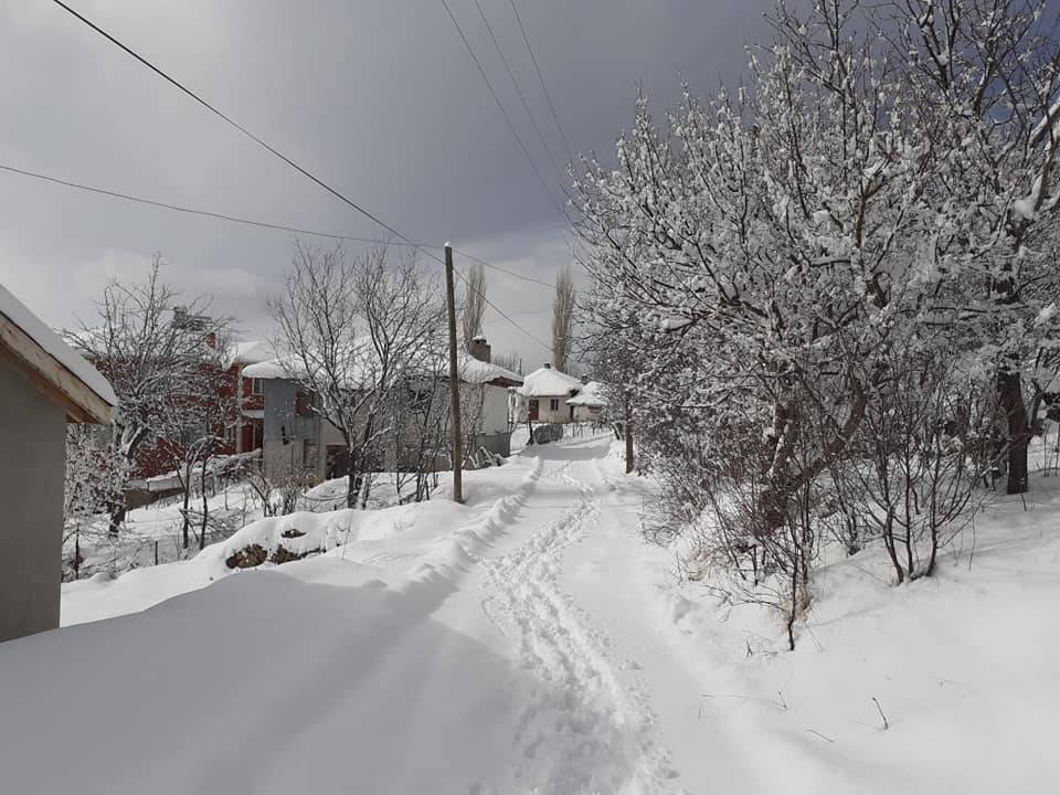 Kurşunlu Sarıalan Köyü Resimleri 5