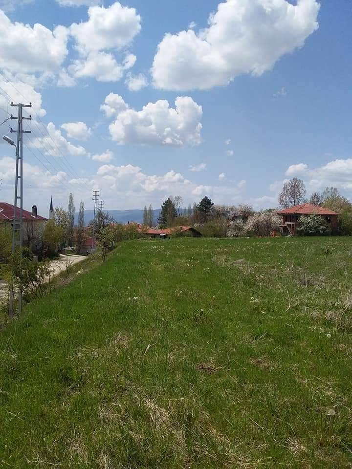 Kurşunlu Sarıalan Köyü Resimleri 7