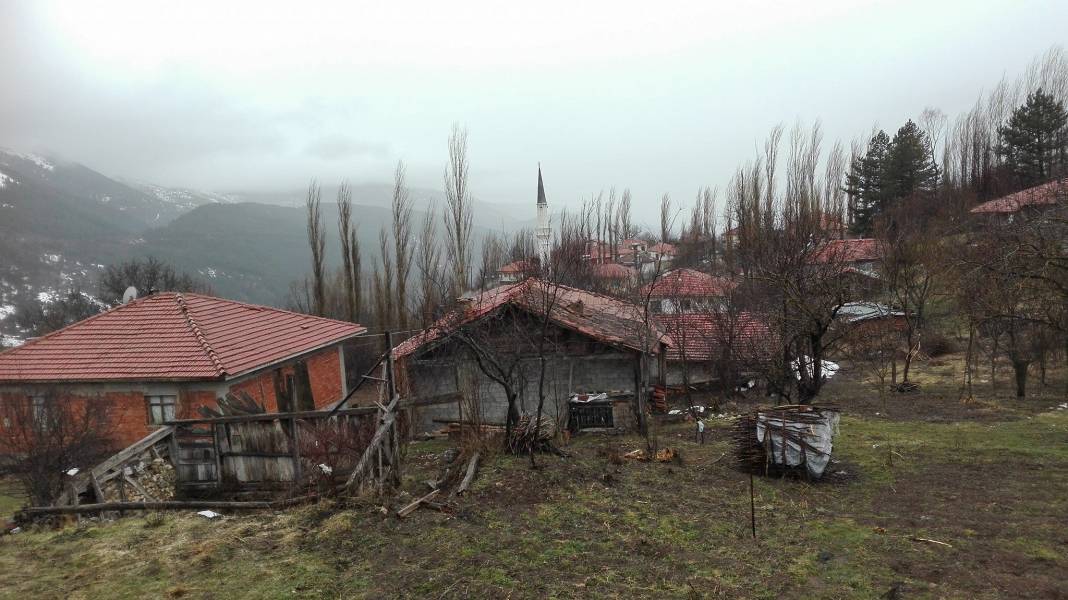 Kurşunlu Sarıalan Köyü Resimleri 9