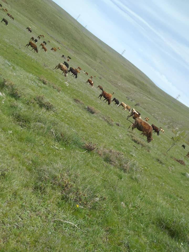 Orta Hüyükköy Köyü Resimleri 3