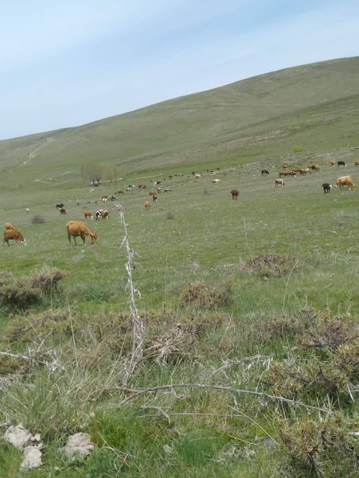 Orta Hüyükköy Köyü Resimleri 4