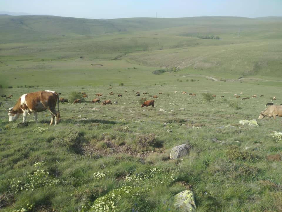 Orta Hüyükköy Köyü Resimleri 5