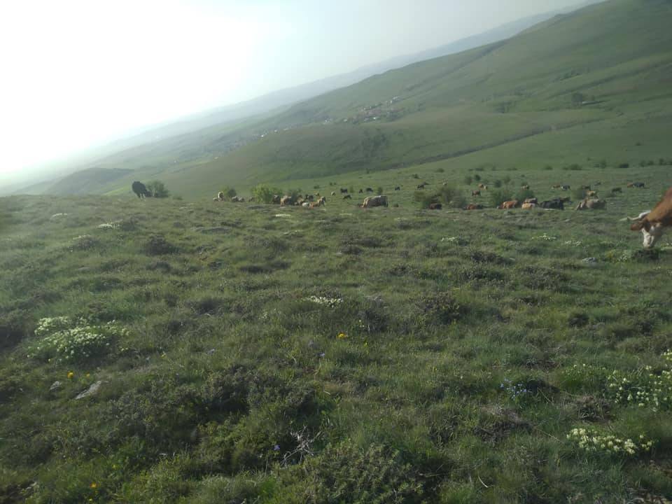 Orta Hüyükköy Köyü Resimleri 6