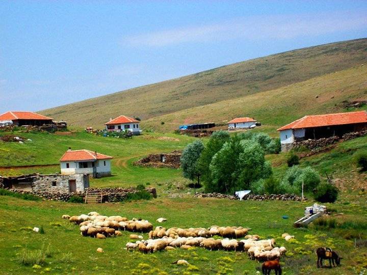 Orta Sakarcaören Köyü Resimleri 2
