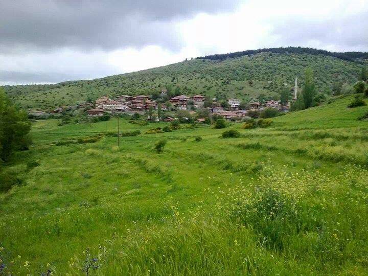 Yapraklı Ayseki Köyü Resimleri 3