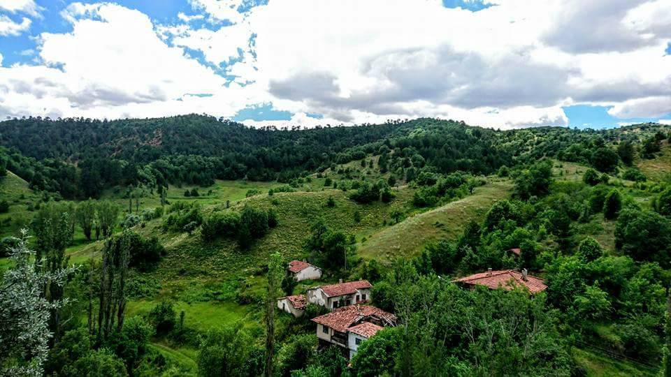 Yapraklı Ayvaköy Köyü Resimleri 1