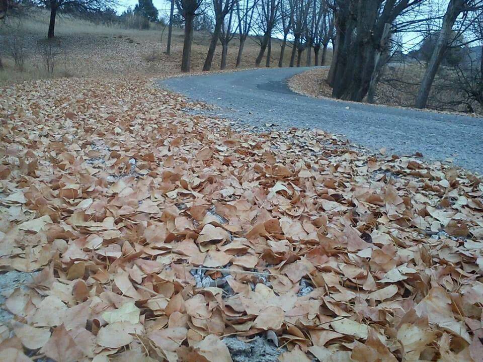 Yapraklı Ayvaköy Köyü Resimleri 7