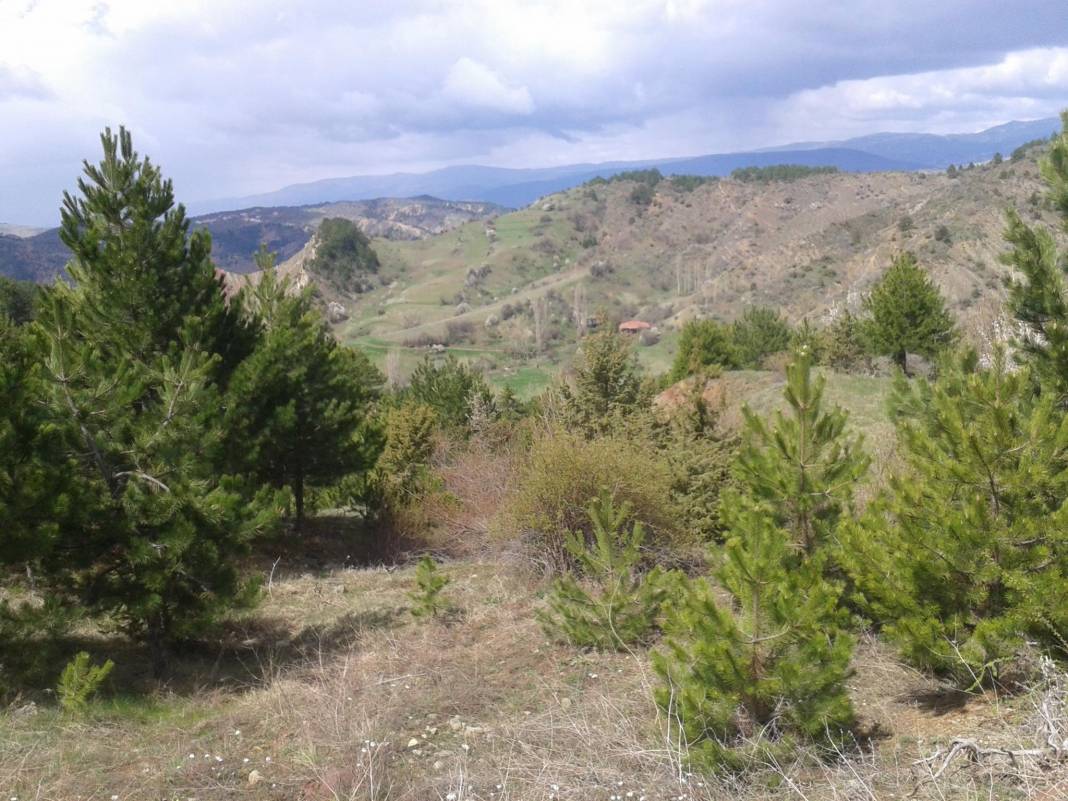 Yapraklı Belibedir Köyü Resimleri 5