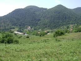 Yenice Kayaarkası Köyü Resimleri 1