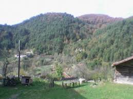 Yenice Kayaarkası Köyü Resimleri 5