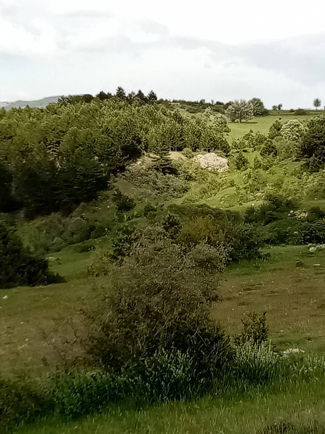 Yapraklı Davutlar Köyü Resimleri 5