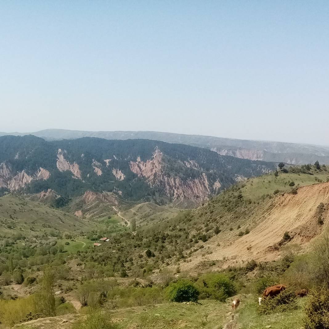 Yapraklı Davutlar Köyü Resimleri 7