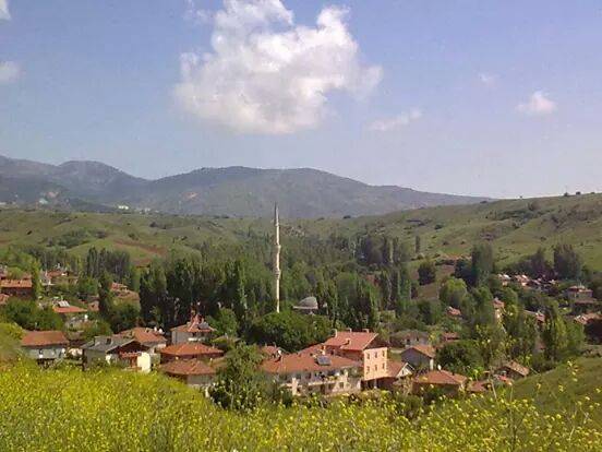 Yapraklı Karacaözü Köyü Resimleri 1
